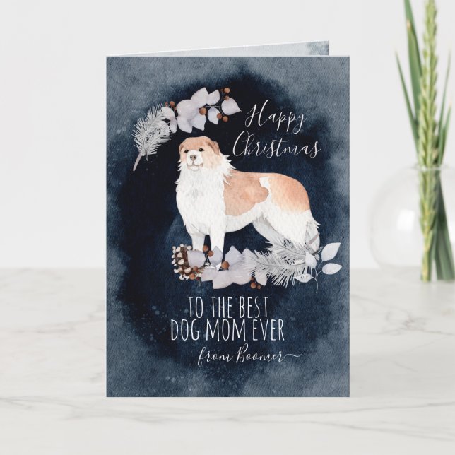Cartes Pour Fêtes Annuelles Fluffy Dog Arménien Gampr Noël personnalisé (Devant)