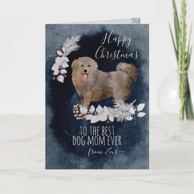Cartes Pour Fêtes Annuelles Fluffy Dog Bakharwal - Noël (Devant)