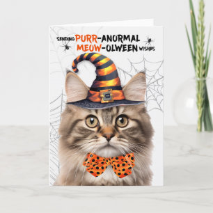 Cartes Pour Fêtes Annuelles Fluffy Tabby Halloween Chat PURRanormal MEOWolween