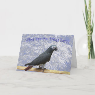 Cartes Pour Fêtes Annuelles Flying South