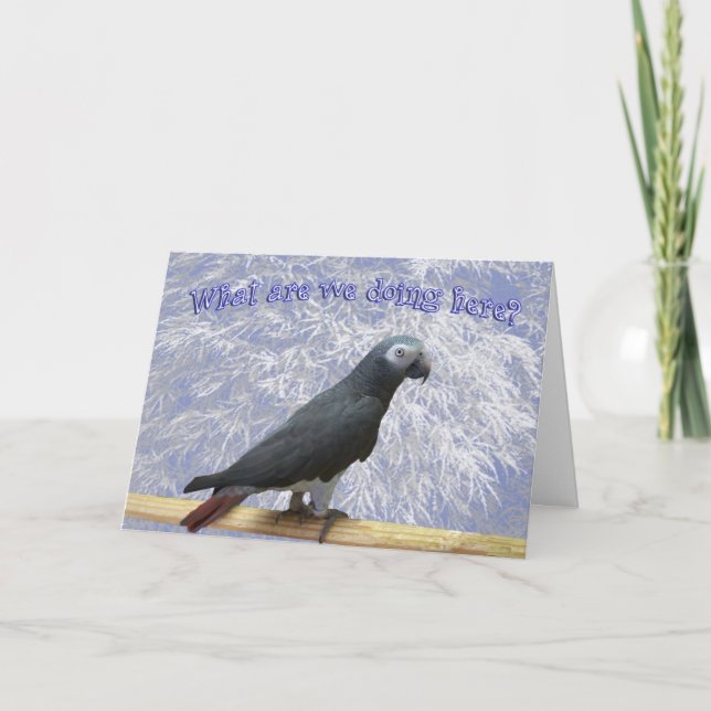 Cartes Pour Fêtes Annuelles Flying South (Devant)