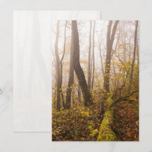 Cartes Pour Fêtes Annuelles Forêt automnale atmosphérique dans la brume
