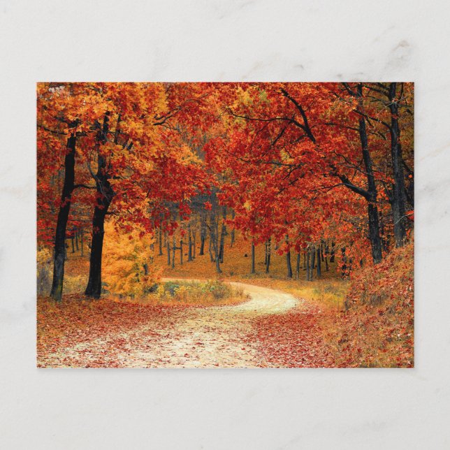 Cartes Pour Fêtes Annuelles Forêt d'automne (Devant)
