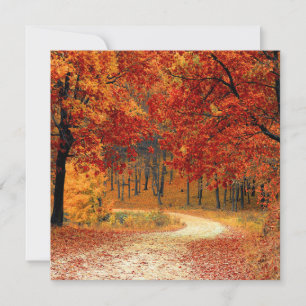 Cartes Pour Fêtes Annuelles Forêt d'automne