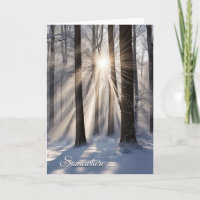 Forêt D'Hiver Avec Poutres De Soleil