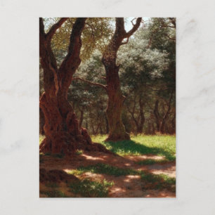 Cartes Pour Fêtes Annuelles Forêt d'oliviers au Cap Saint Martin Ivan Choultsé