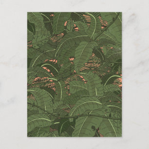 Cartes Pour Fêtes Annuelles Forêt tropicale jungle