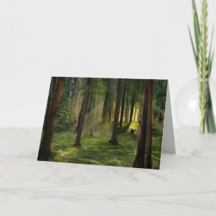 Cartes Pour Fêtes Annuelles Forêts de l'aube