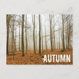 Cartes Pour Fêtes Annuelles Fosse d'automne et brouillard cadeau de la saison