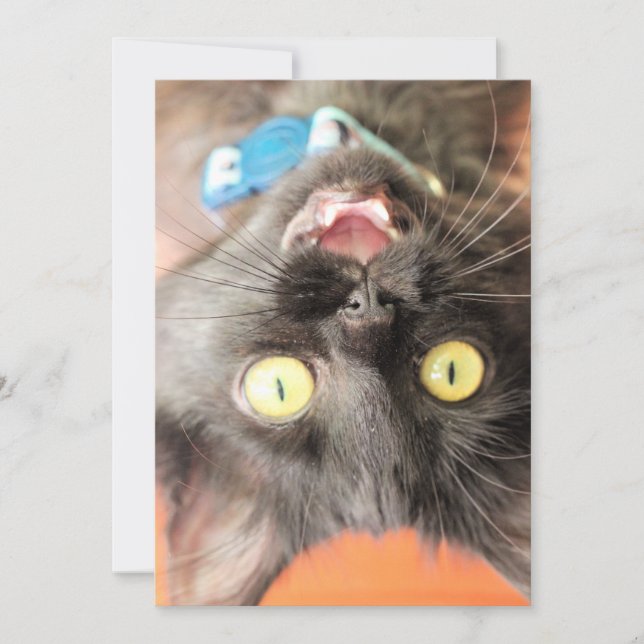 Cartes Pour Fêtes Annuelles Fou bébé (Devant)
