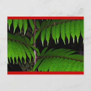 Cartes Pour Fêtes Annuelles Fougères de forêt tropicale