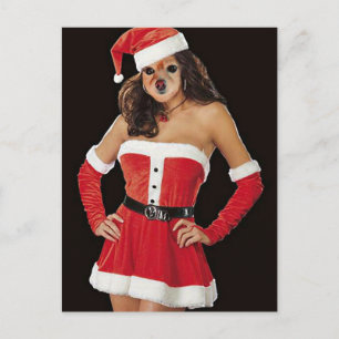 Cartes Pour Fêtes Annuelles Fox Est Un Autre Helper Père Noël