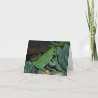Cartes Pour Fêtes Annuelles Francoise la grenouille