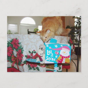 Cartes Pour Fêtes Annuelles Frank & Léo : Hé ! Père Noël ? Non, le chat !