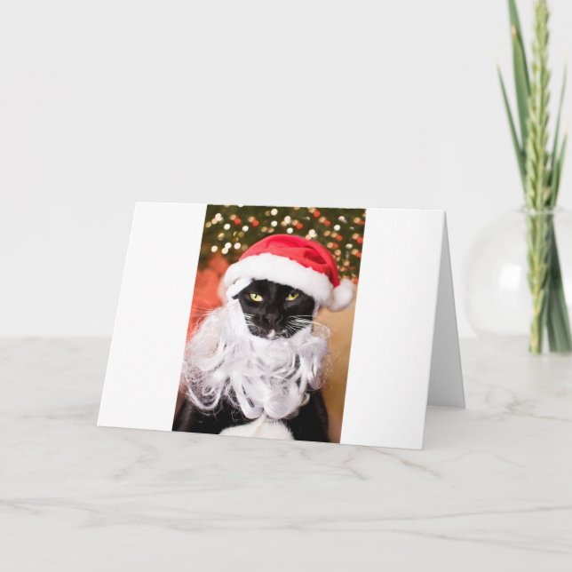 Cartes Pour Fêtes Annuelles Franny Claus Père Noël triste Kitty (Devant)
