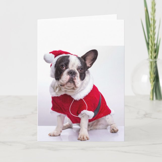 Cartes Pour Fêtes Annuelles French Bulldog à Santa Costume For Christmas (Devant)
