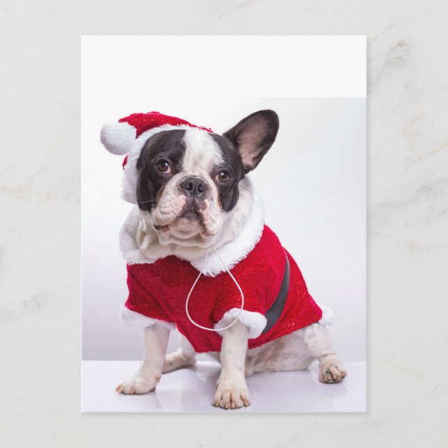 Cartes Pour Fêtes Annuelles French Bulldog à Santa Costume For Christmas (Devant)