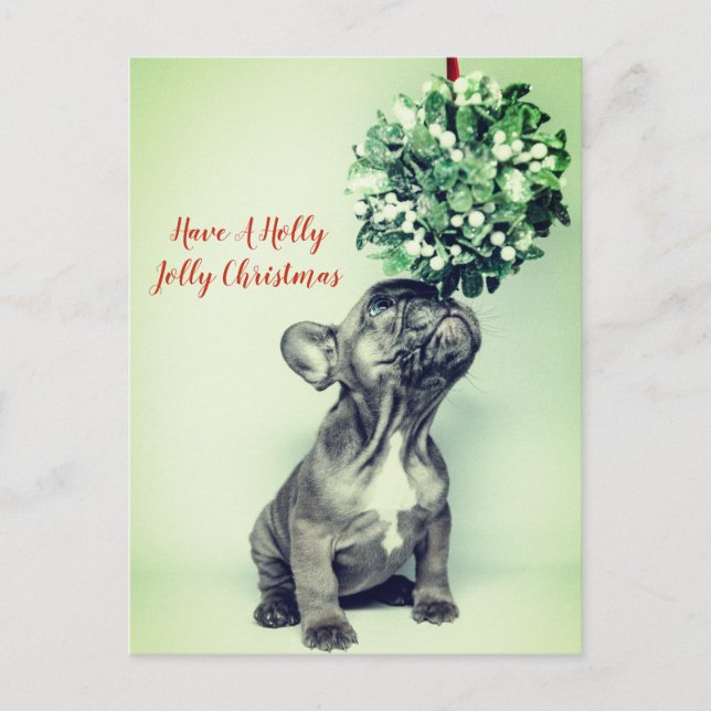 Cartes Pour Fêtes Annuelles French Bulldog et Mistletoe Solive Christmas (Devant)