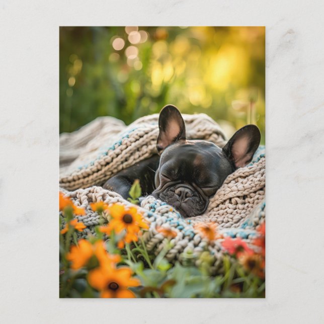 Cartes Pour Fêtes Annuelles French Bulldog in Knitted Dog Attire (Devant)