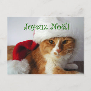 Cartes Pour Fêtes Annuelles French Greeting Cat in Santa Hat Postcard