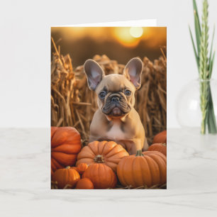 Cartes Pour Fêtes Annuelles Frenchie Thanksgiving