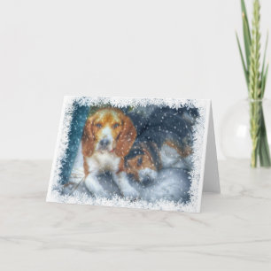Cartes Pour Fêtes Annuelles Frères de Noël