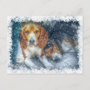 Cartes Pour Fêtes Annuelles Frères de Noël