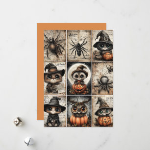 Cartes Pour Fêtes Annuelles Fright & Delight Halloween