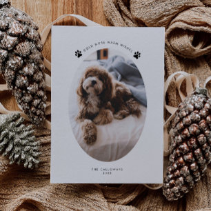 Cartes Pour Fêtes Annuelles Froid Nez Chaleureux Voeux Chien Photo Noël
