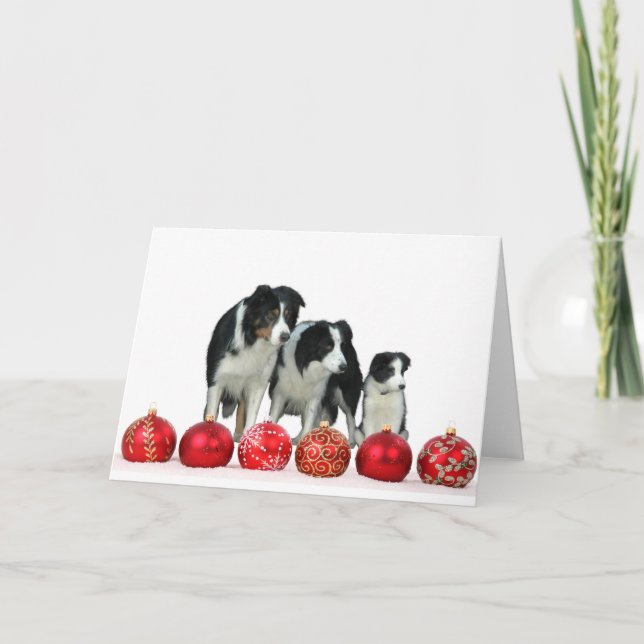 Cartes Pour Fêtes Annuelles Frontière Chiens de Collie avec des ornements roug (Devant)