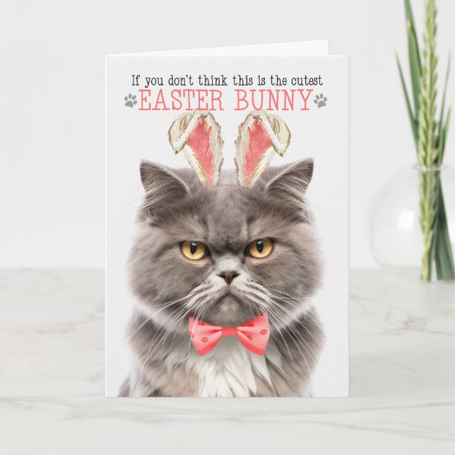 Cartes Pour Fêtes Annuelles Fumer Chat Perse Cutest Bunny Bunny Kitty Puns (Devant)