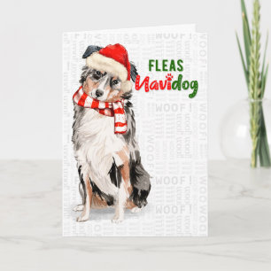 Cartes Pour Fêtes Annuelles Funky Australian Shepherd Chien Fleas Navidog