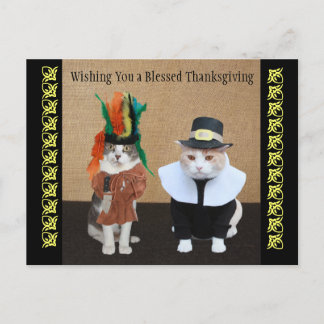 Cartes Pour Fêtes Annuelles Funky Cats Thanksgiving