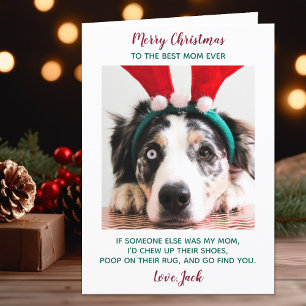 Cartes Pour Fêtes Annuelles Funky Custom Pet Photo Chien Maman Joyeux Noël