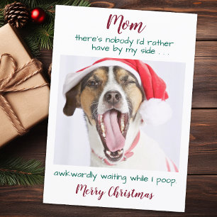 Cartes Pour Fêtes Annuelles Funky Custom Pet Photo Chien Maman Joyeux Noël Hol
