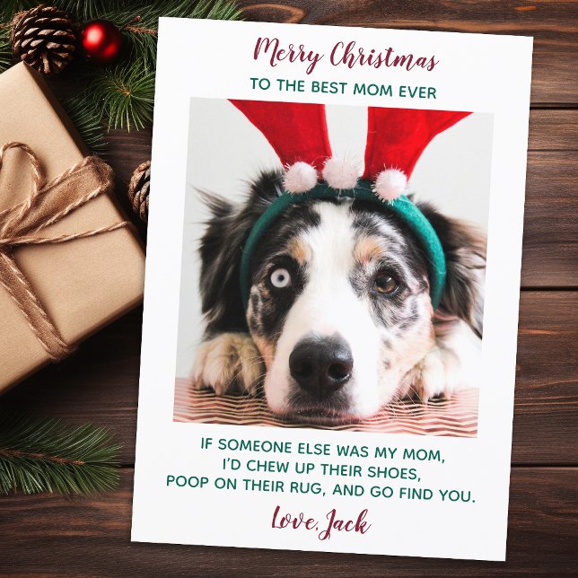 Cartes Pour Fêtes Annuelles Funky Custom Pet Photo Chien Maman Joyeux Noël Hol (Créateur téléchargé)