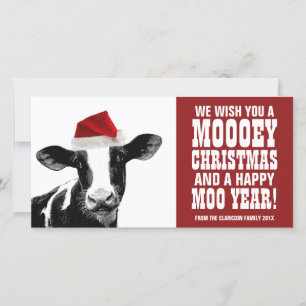 Cartes Pour Fêtes Annuelles Funky Père Noël Cow Moey Christmas Dairy Farm