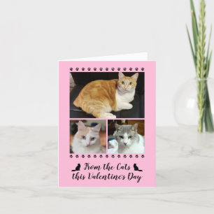 Cartes Pour Fêtes Annuelles Funny 3 Photo De L'Empreinte de patte De Chat Vale