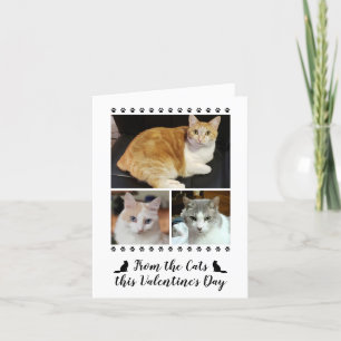Cartes Pour Fêtes Annuelles Funny 3 Script Photo De Cat Dog Pet Valentines