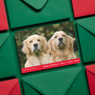 Cartes Pour Fêtes Annuelles Funny Bark Humbug Chien Photo Noël Personnalisé