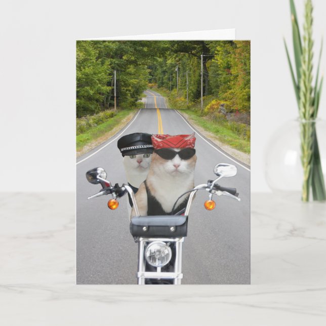 Cartes Pour Fêtes Annuelles Funny Biker Cats Valentine/Anniversaire (Devant)