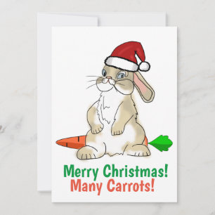 Cartes Pour Fêtes Annuelles Funny Bunny Joyeux Noël