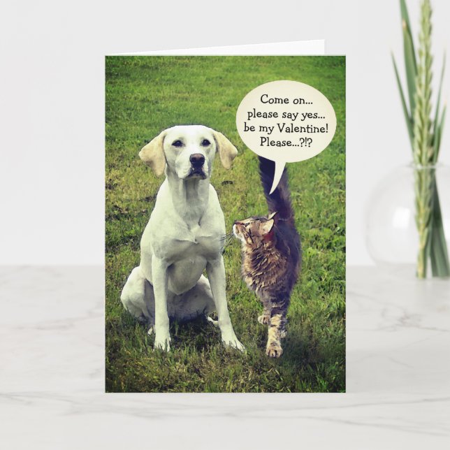 Cartes Pour Fêtes Annuelles Funny Cat & Chien Valentine (personnalisable) (Devant)