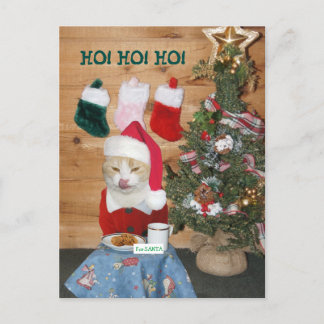 Cartes Pour Fêtes Annuelles Funny Cat Eating Santa's Snack