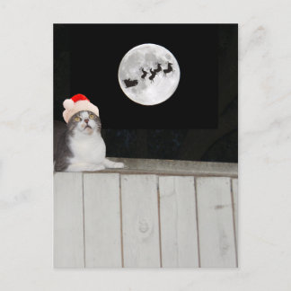 Cartes Pour Fêtes Annuelles Funny Cat Sees Père Noël