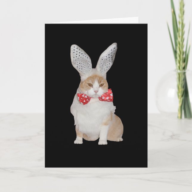 Cartes Pour Fêtes Annuelles Funny Chat Bunny Valentine (Devant)