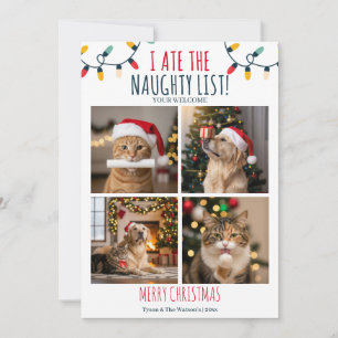 Cartes Pour Fêtes Annuelles Funny Chat Chien Naughty List Custom Christmas Pho