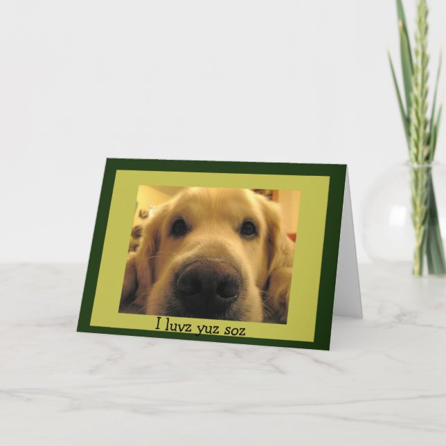 Cartes Pour Fêtes Annuelles Funny Chien Valentines (Devant)