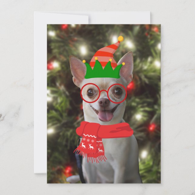 Cartes Pour Fêtes Annuelles Funny Chihuahua Chien animal de compagnie Noël (Devant)