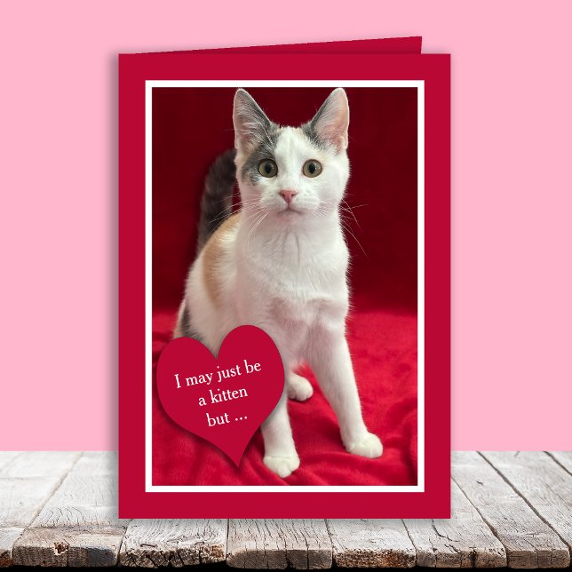 Cartes Pour Fêtes Annuelles Funny Cute Kitten Cat Valentines Puns Card (Créateur téléchargé)